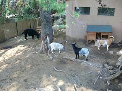 183 D21 SANARY SUR MER 1_000067